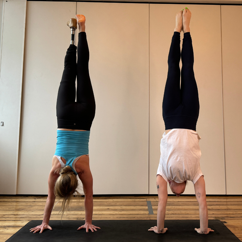 Inversions Workshop! Get Upside Down in February