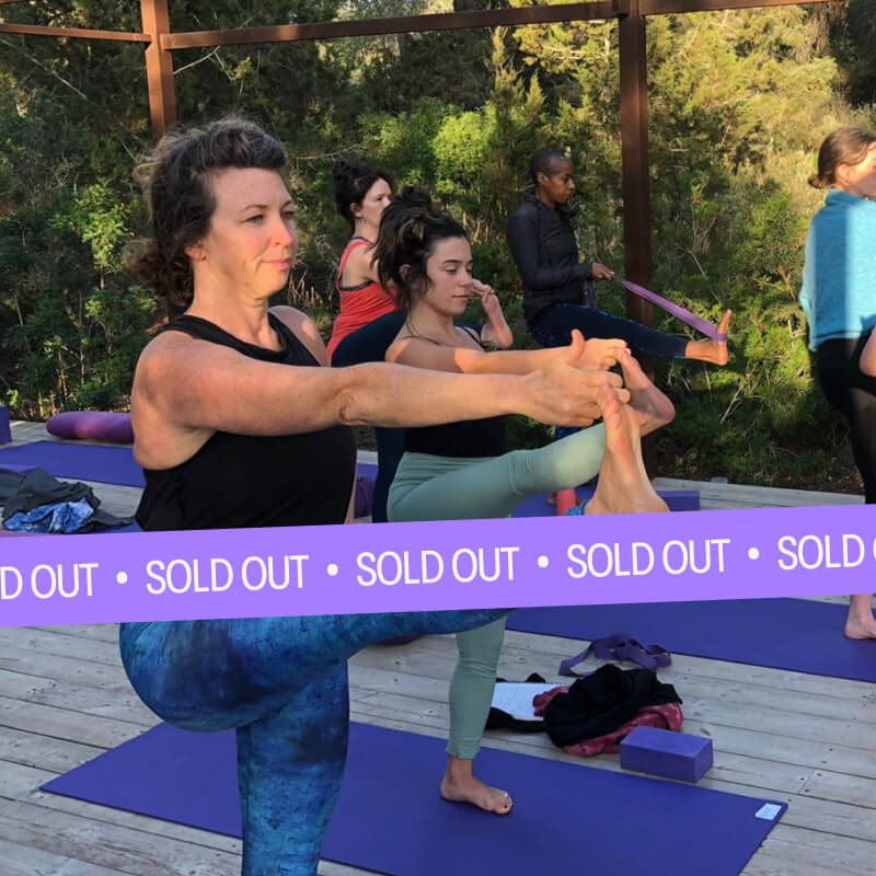 Yogarise 200-hour Vinyasa Yoga Teacher Training