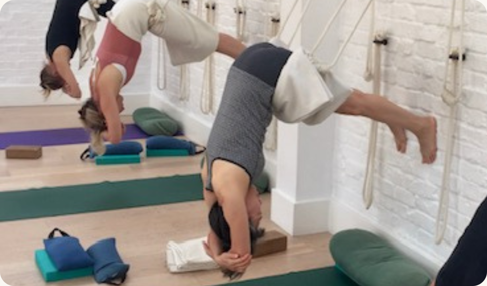 Yoga students utilizing specialised wall ropes to support their posture and stretching during an Iyengar yoga class.