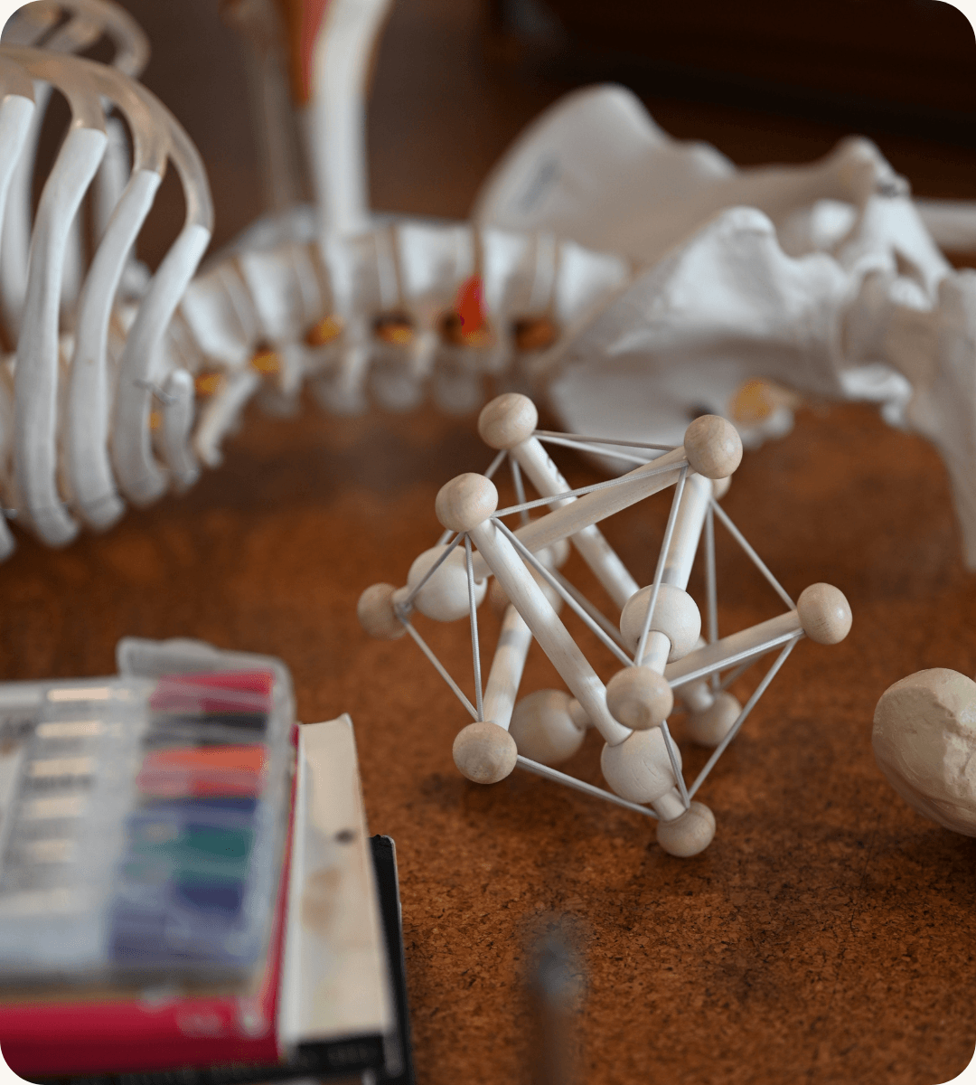 A skeleton spine and an unusual geometric object