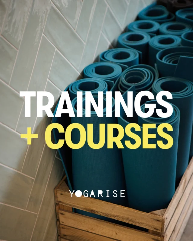 Are you ready to swot up on some new skills and get back to (yoga) school this September? From Rocket Yoga to Yin, Reiki to Meditation, these A* trainings get our top marks!

Go on, add yourself to the register + be star pupil 🤩

✏ 12th-14th + 19th-21st Sept The Art of Letting Go Yin Yoga Training with Austin Ince @shantipoweryoga 
✏ 27th-28th Sept Reiki 1 with Reiki Master, Anja Lenka @anjalenka 
✏ 3rd-4th Oct Postnatal Yoga with Tara Lee @taraleeyoga  and Clare Daniell @clarebeing 
✏ 8th-12th Oct Rocket Yoga Level 1 Part 2 with Leon London @leonlondonyoga 
✏ 31st Jan - 1st Feb Reiki 2 with Anja Lenka
✏ 1st, 5-6th + 22nd, 26-27th Feb Meditation Course with Isabell Britsch @yogawithisabell 

AND LAST BUT BY NO MEANS LEAST.... 

12-Month 200HR Vinyasa Yoga Teacher Training with Becky Farbstein @beckyfarbs 
 + friends starts in March 2026! ⭐ Join us for a YTT Taster Session on Saturday 27th September 1.30-3.30pm - see Workshops link in bio ⭐

Got questions! 🙋‍♀️ Just drop us a line YTT@yogarise.london

Early bird rates and payment plans (with no monthly fees!) available on all courses.

#yogacourse #reikicourse #newskills